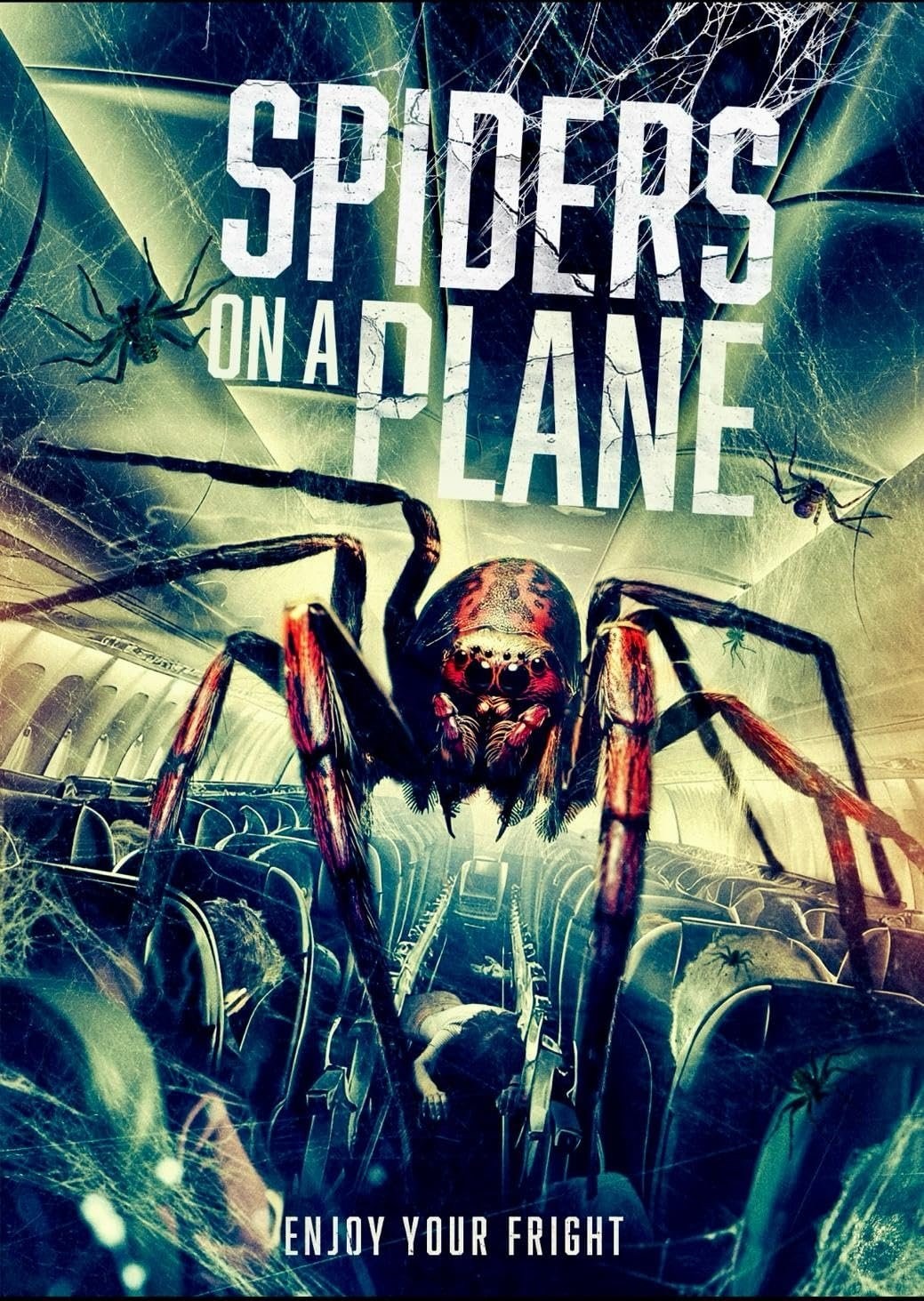 Poster de SPIDERS ON A PLANE en inglés