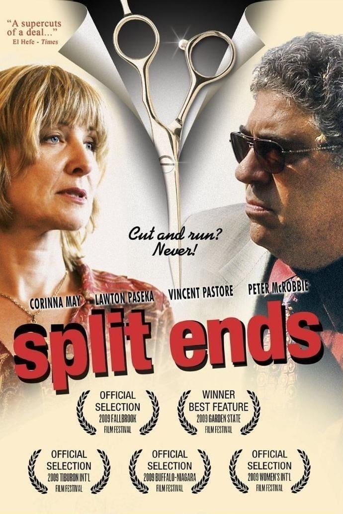 Poster de SPLIT ENDS