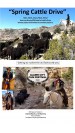 Spring Cattle Drive
