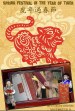 Spring festival in the year of Tiger