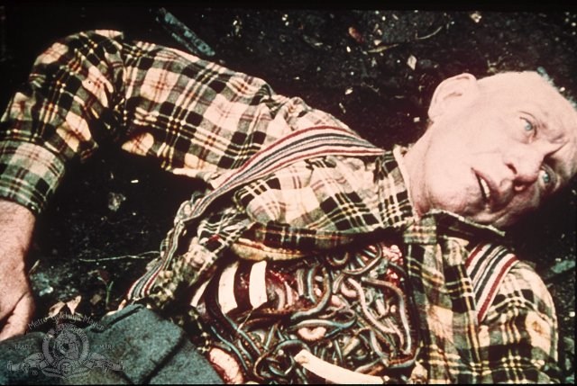 Foto de SQUIRM - GUSANOS ASESINOS