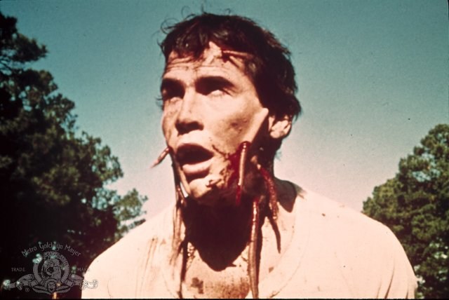 Foto de SQUIRM - GUSANOS ASESINOS