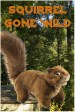 Squirrel Gone Wild
