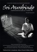 Sri Aurobindo: The Beginning of Spiritual Journey