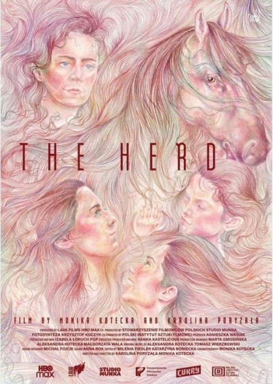 Poster de STADO