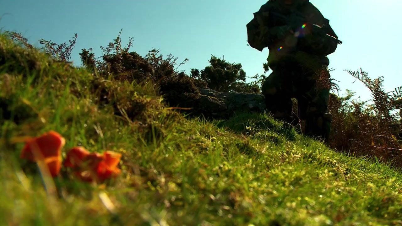 Foto de STAG HUNT