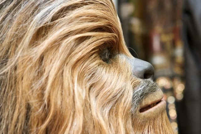 Foto de STAR WARS: EPISODIO III - LA VENGANZA DE LOS SITH
