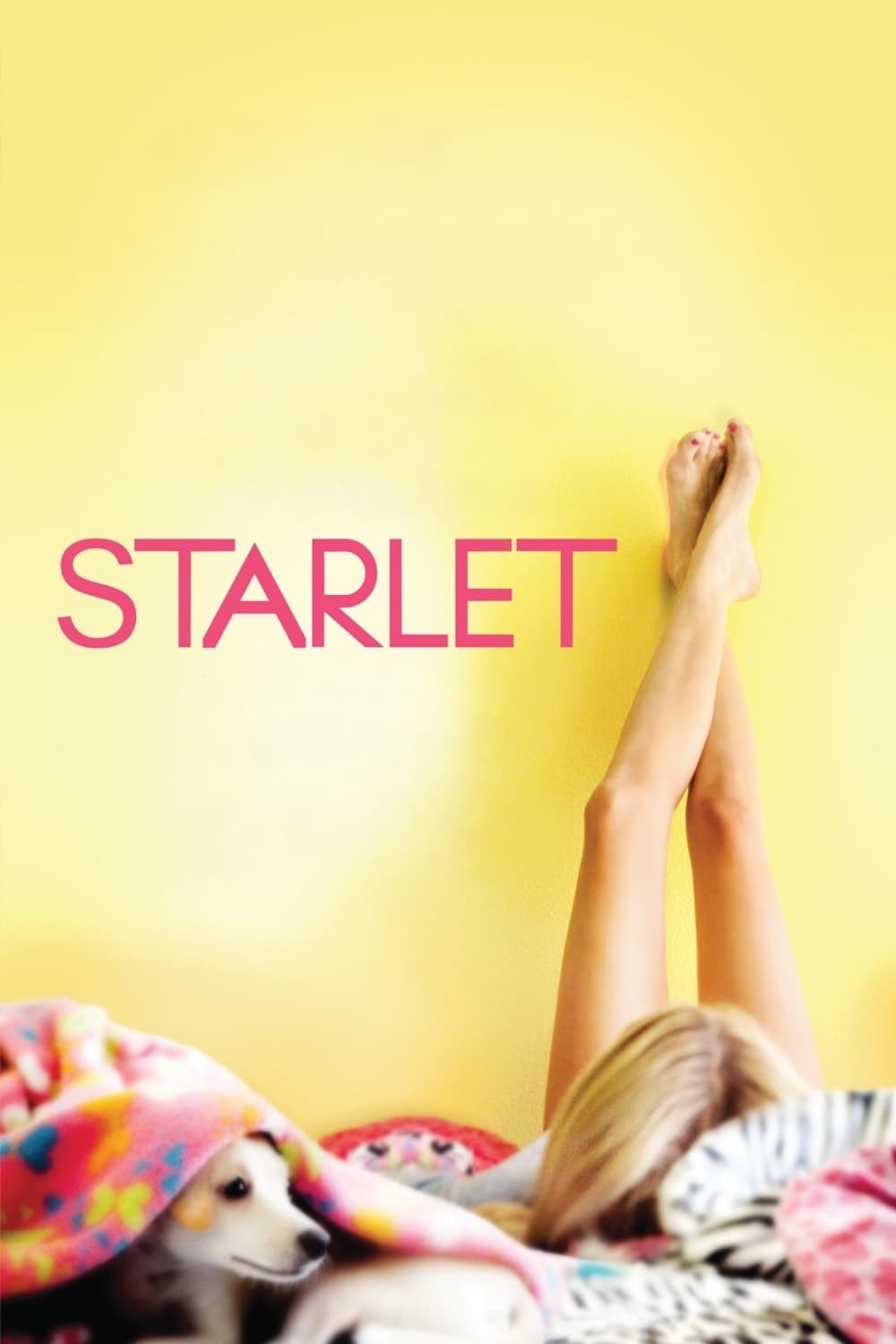 Poster de STARLET en inglés