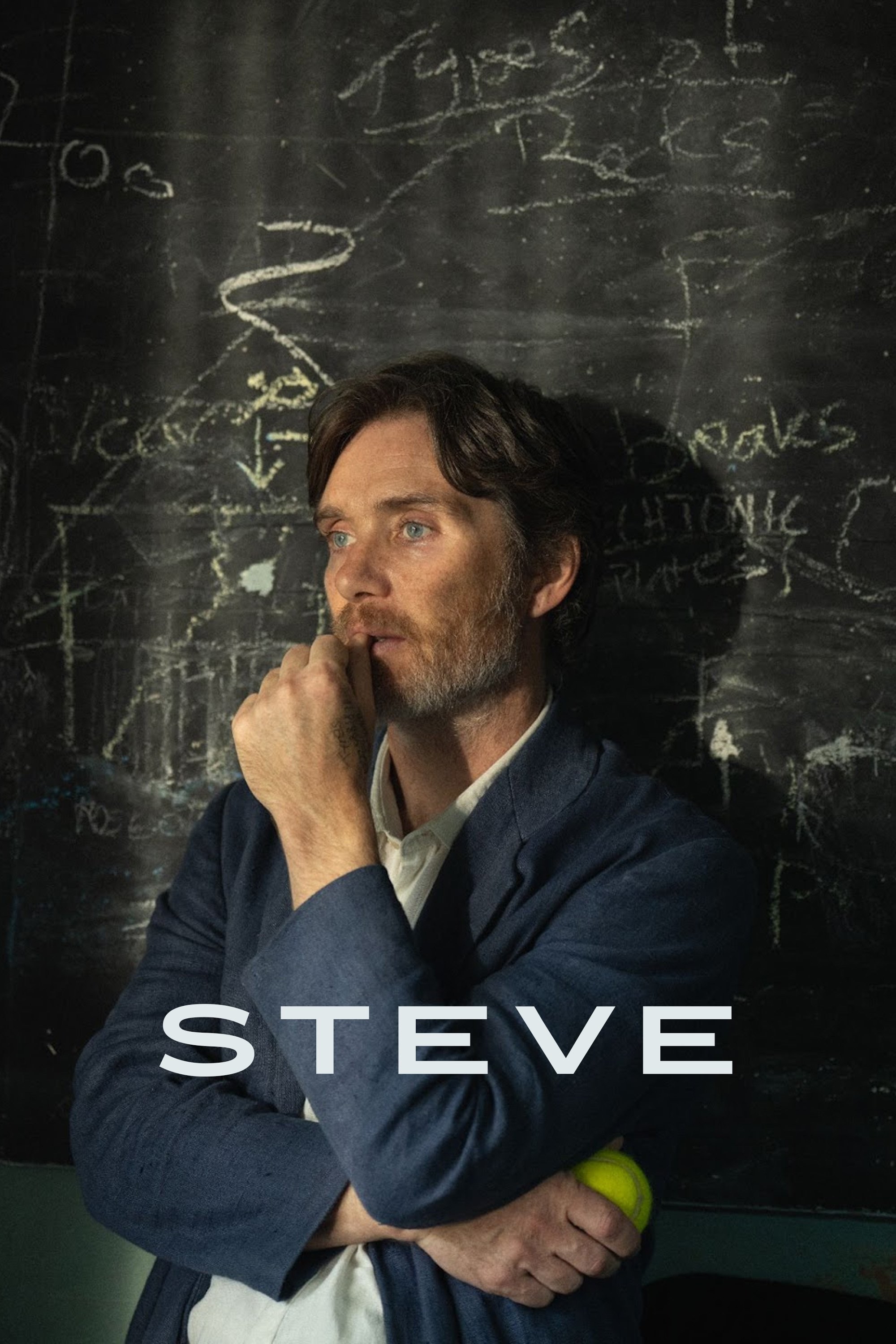 Poster de STEVE