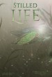 Stilled Life
