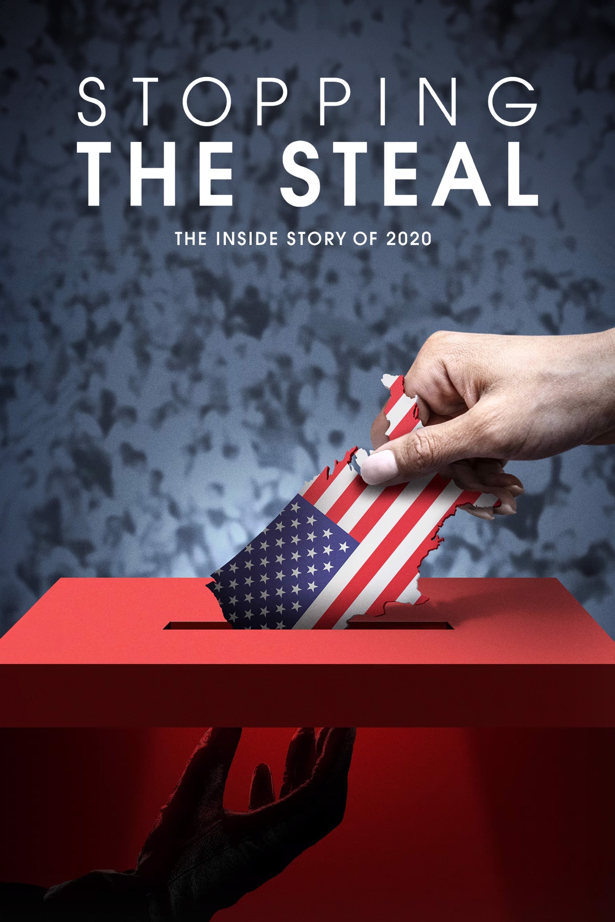 Poster de STOPPING THE STEAL en inglés