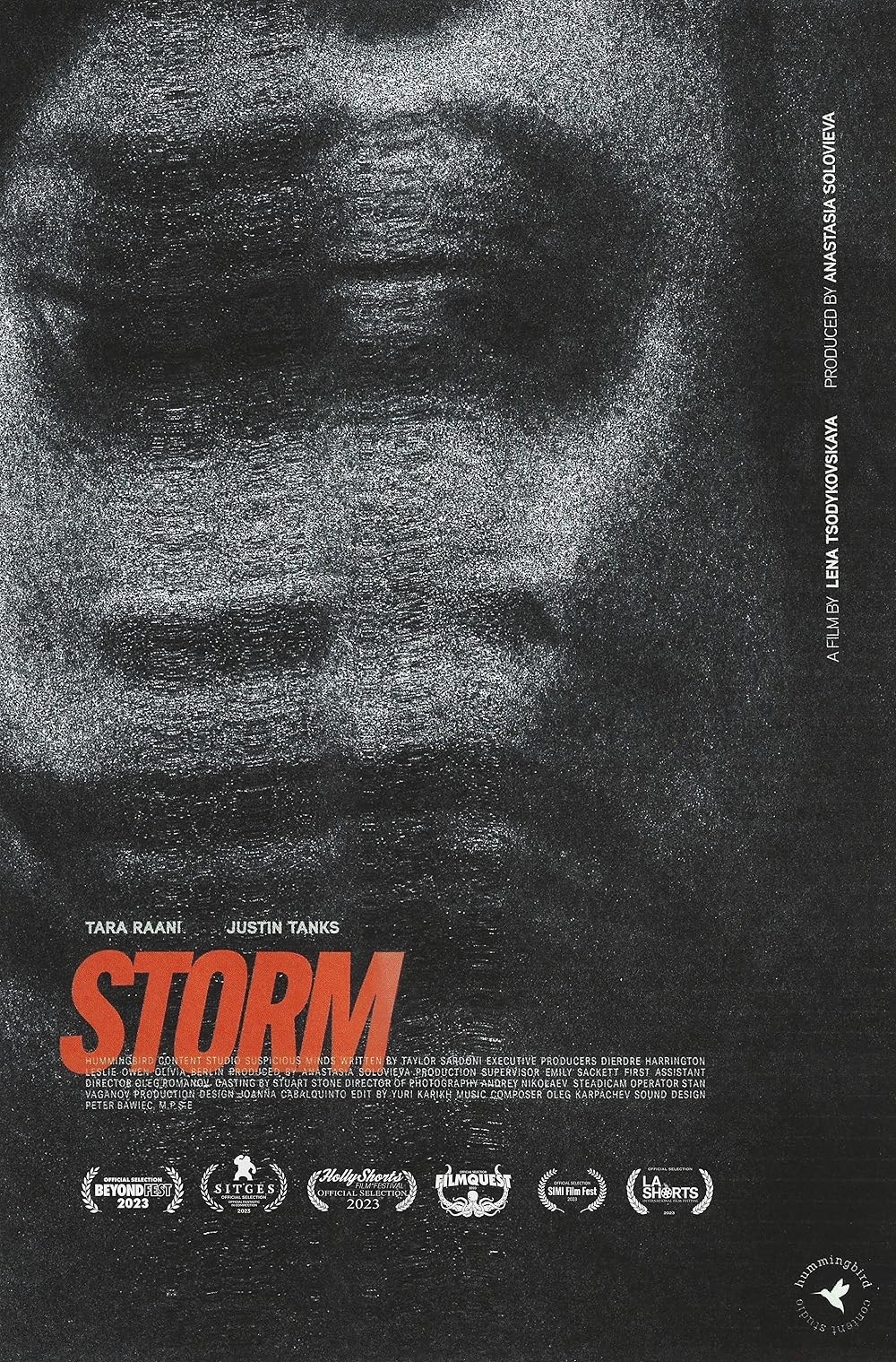 Poster de STORM