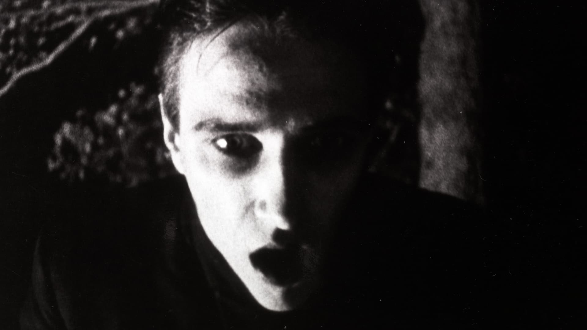Foto de STRASEK, DER VAMPIR