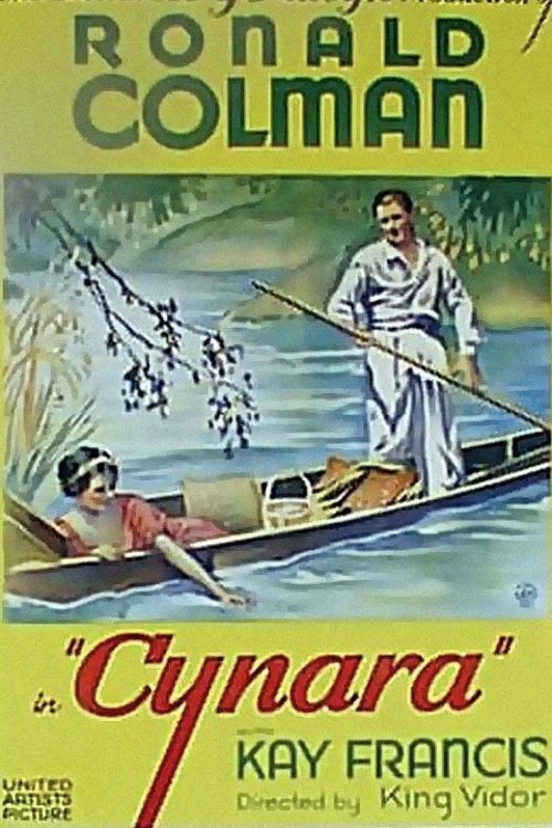 Poster de SU ÚNICO PECADO en inglés