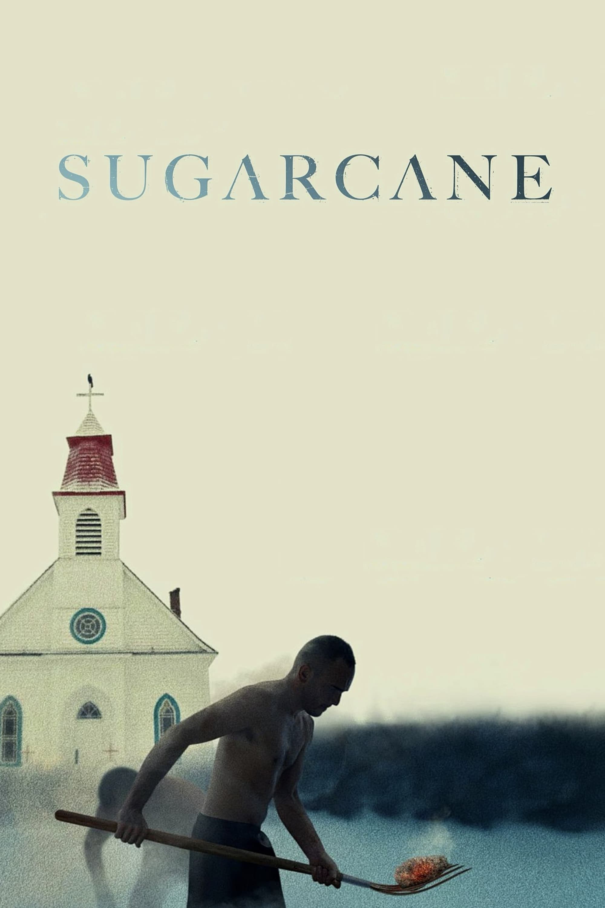 Poster de SUGARCANE en inglés