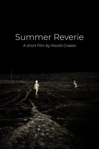 Summer Reverie