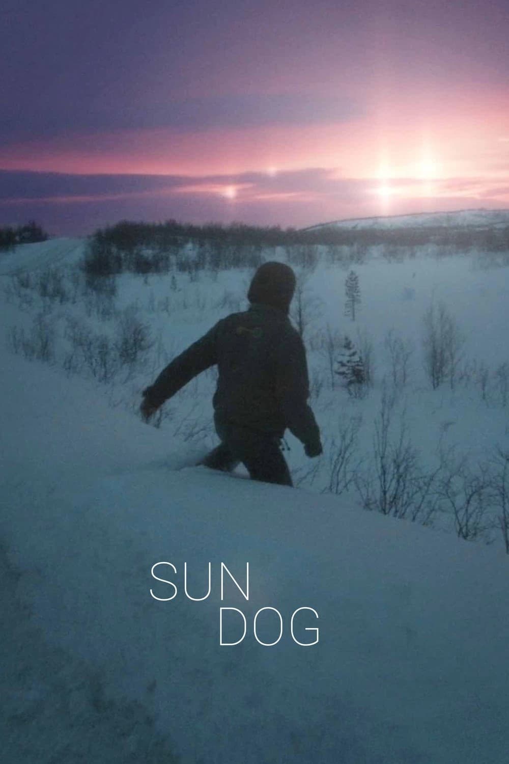 Poster de SUN DOG