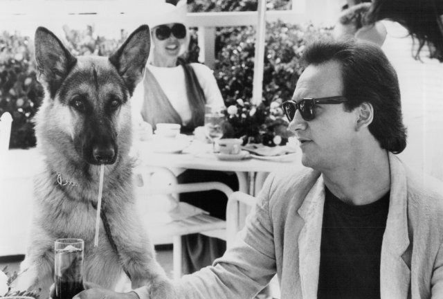 Foto de SUPERAGENTE K-9
