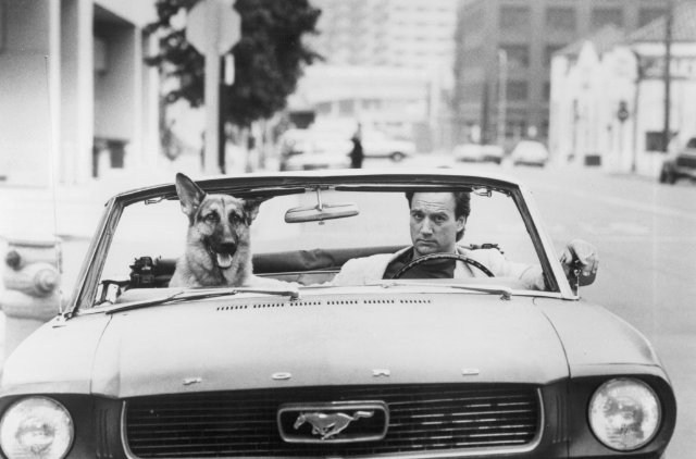 Foto de SUPERAGENTE K-9