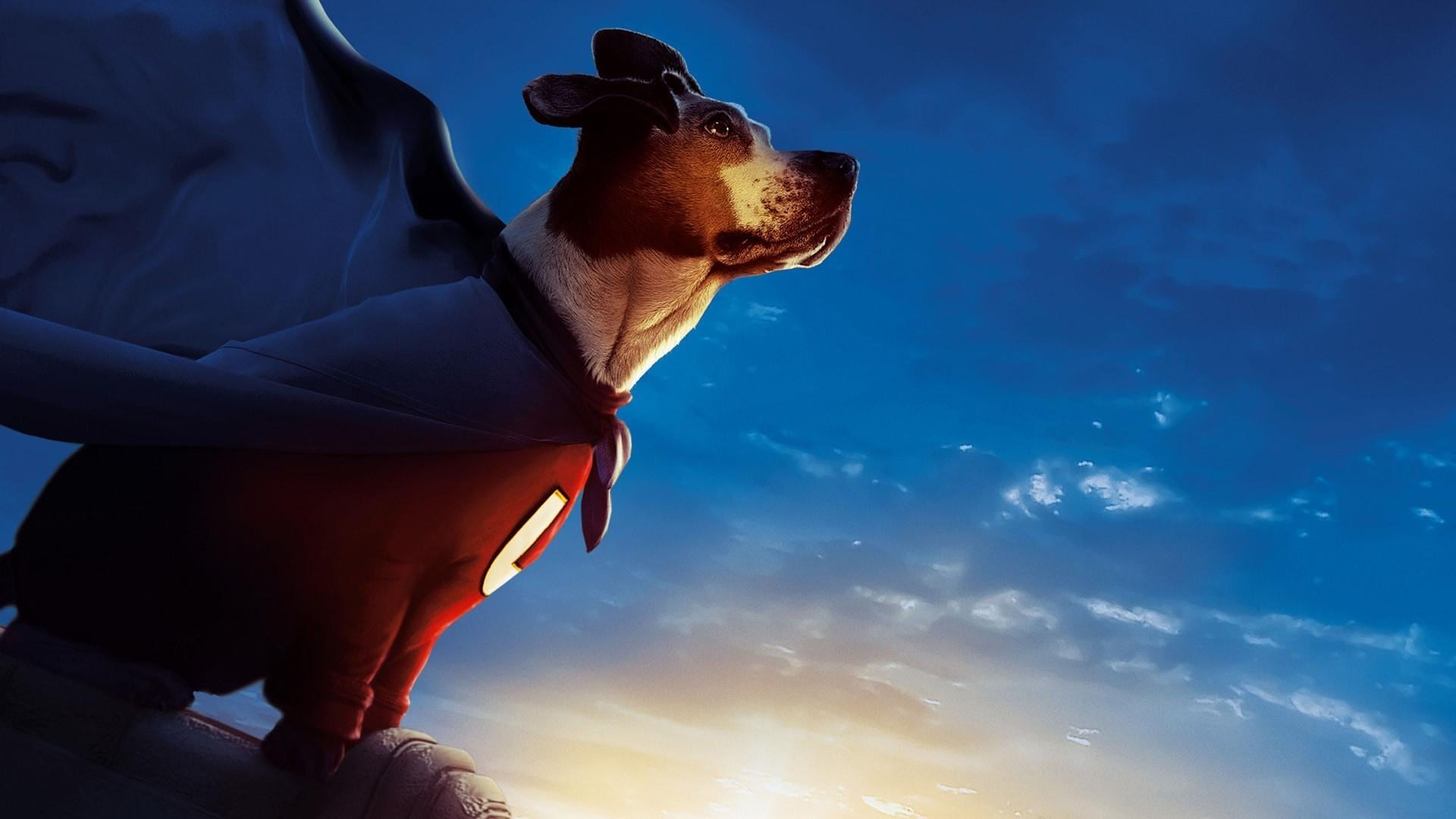 Foto de SUPERDOG