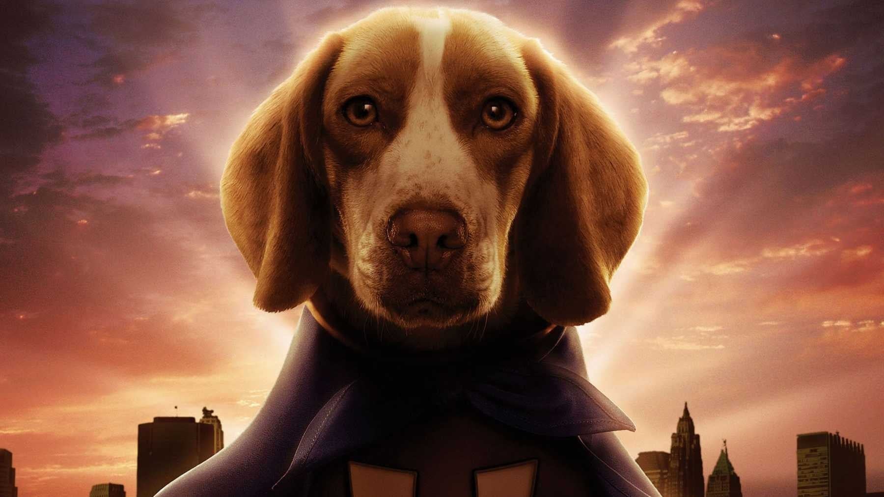 Foto de SUPERDOG