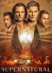 Supernatural: The End of the Road