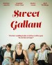 Sweet Gallant