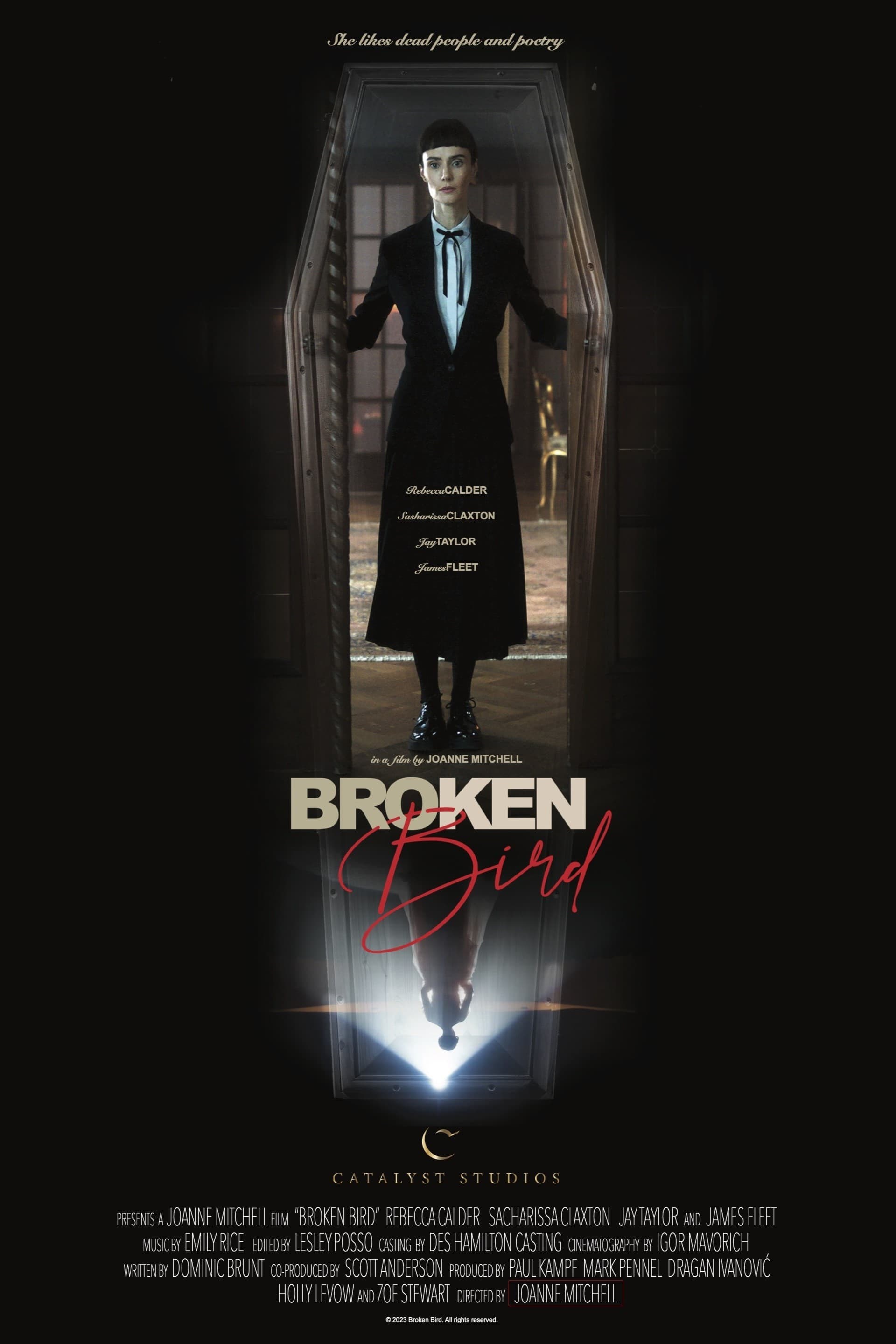 Poster de SYBIL