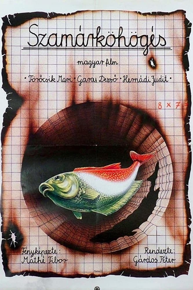 Poster de SZAMÁRKÖHÖGÉS