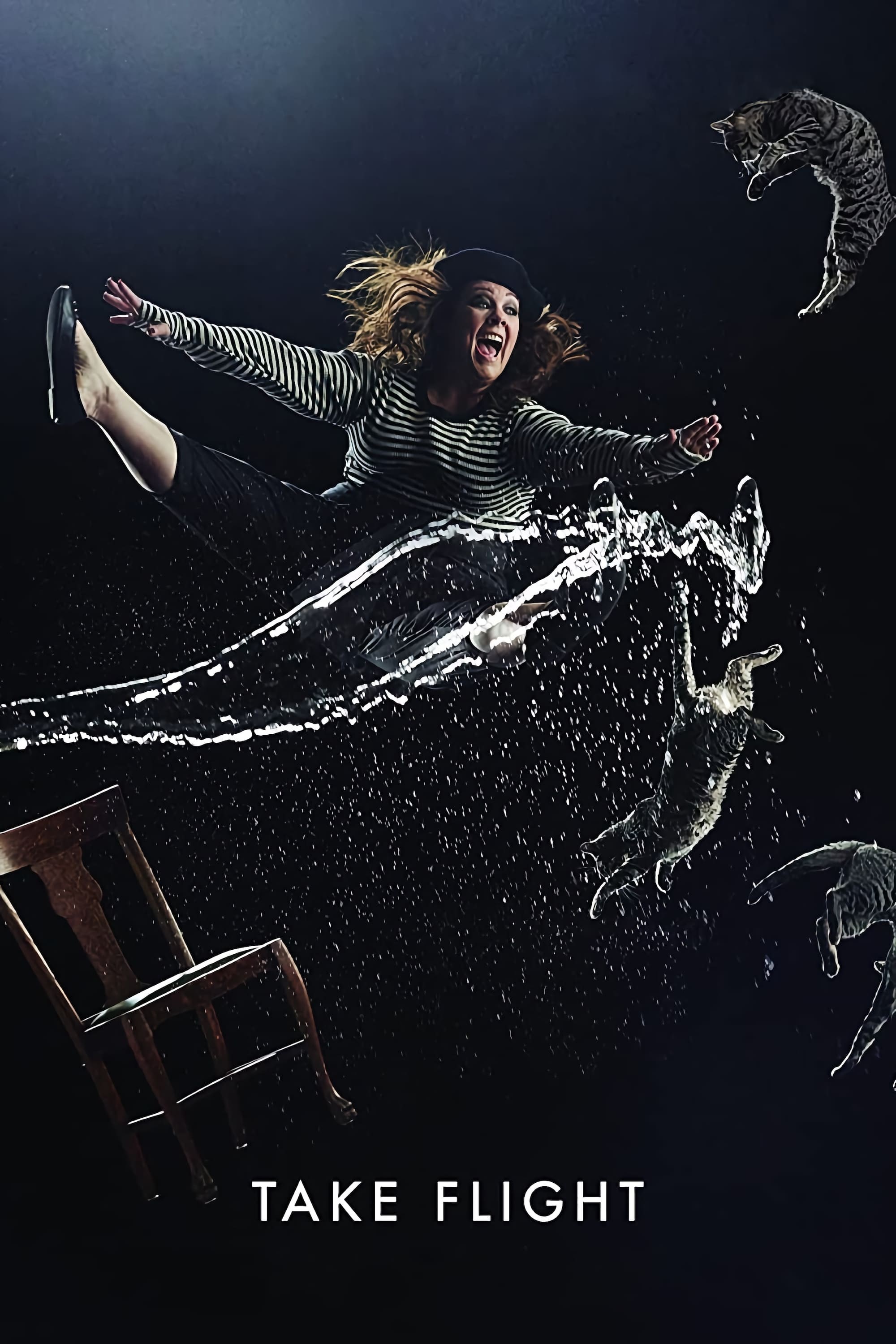 Poster de TAKE FLIGHT