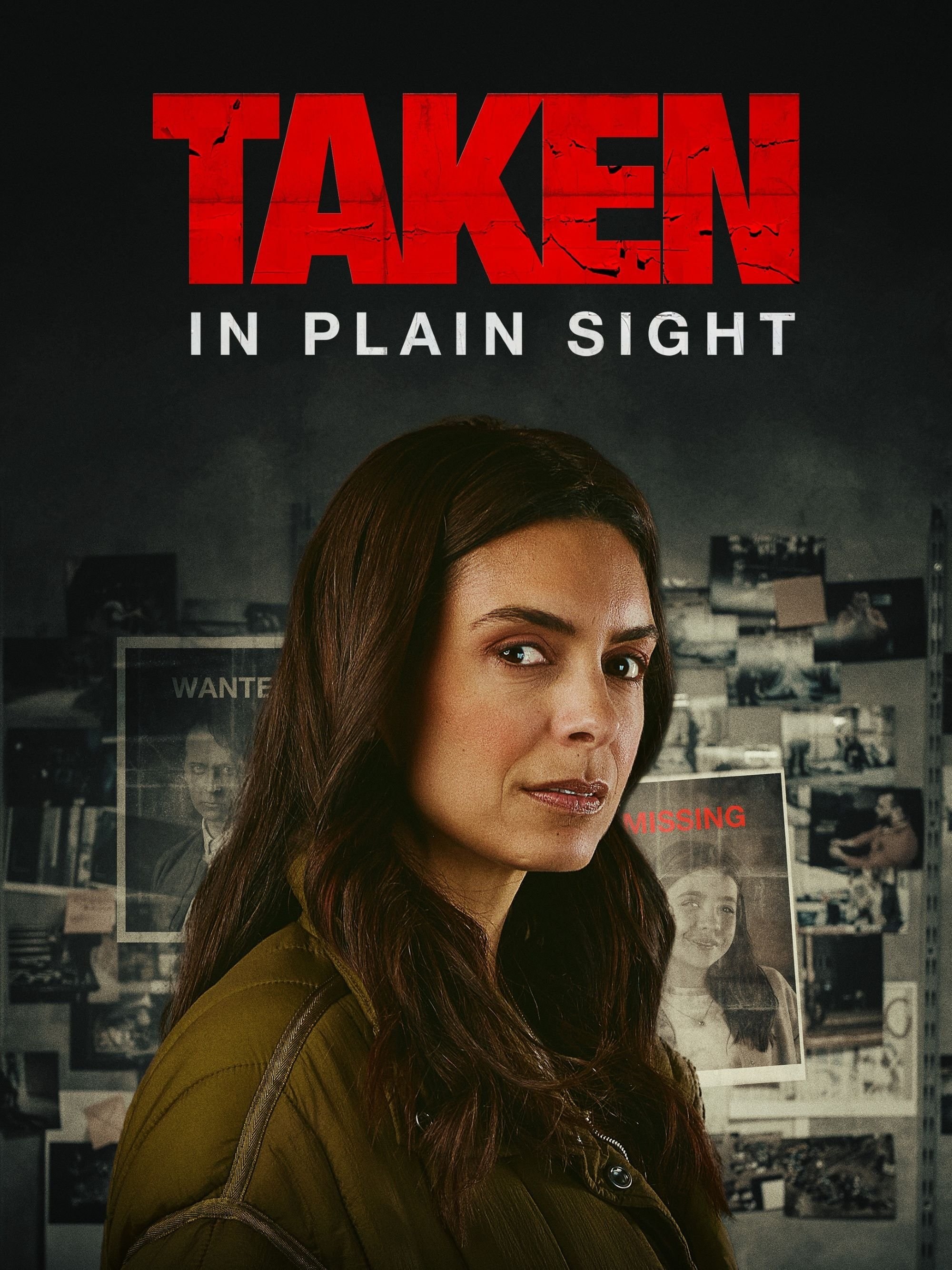 Poster de TAKEN IN PLAIN SIGHT