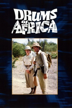 Tambores de África