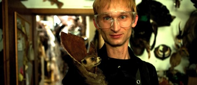 Foto de TAXIDERMIA