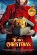 Teddy Christmas