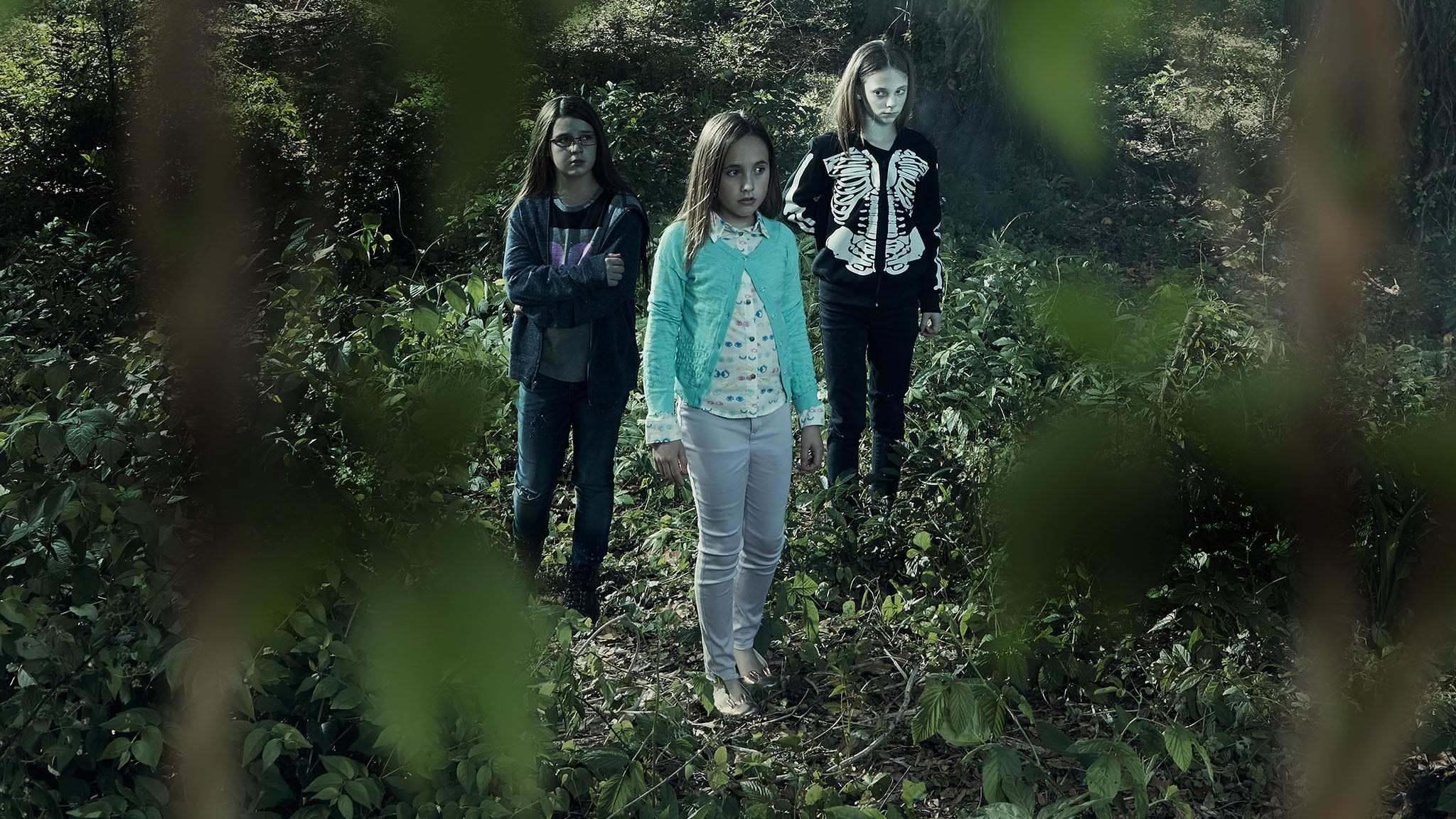 Foto de TERROR IN THE WOODS