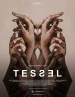 Tessel