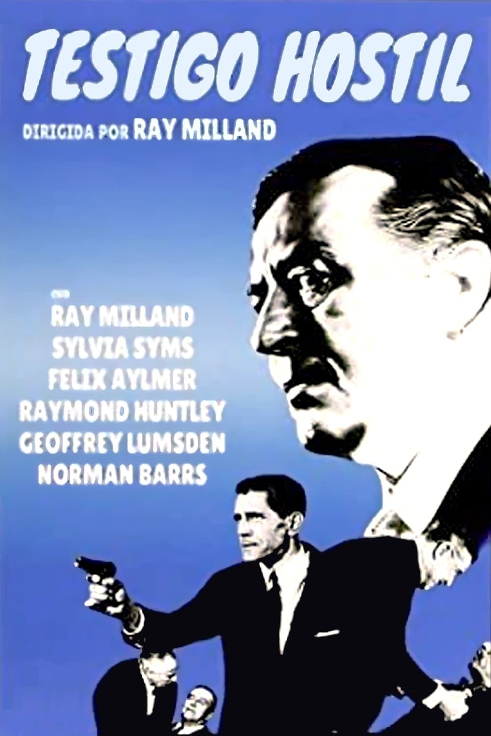 Poster de TESTIGO HOSTIL en español