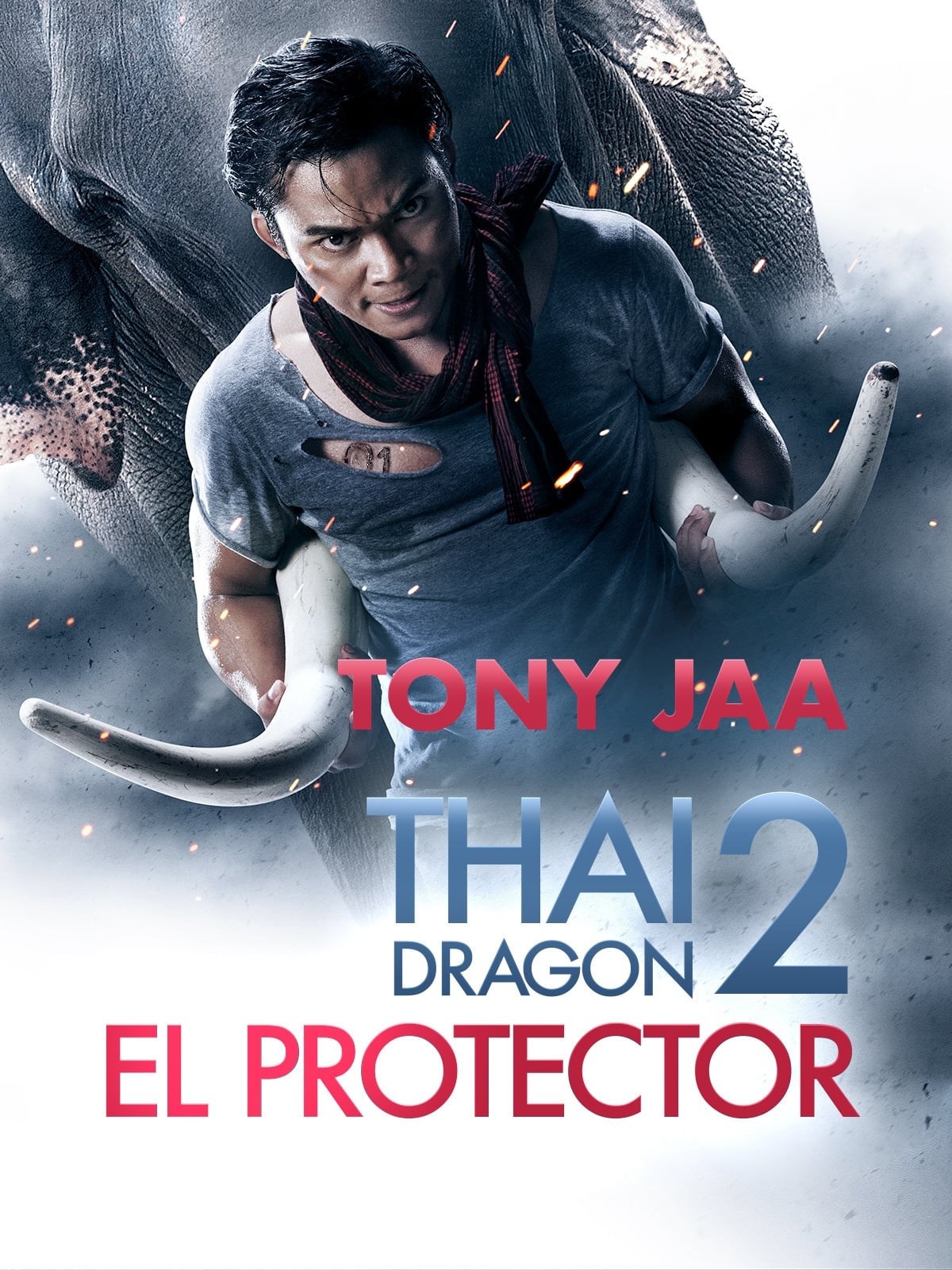 Poster de THAI DRAGON 2: EL PROTECTOR en español