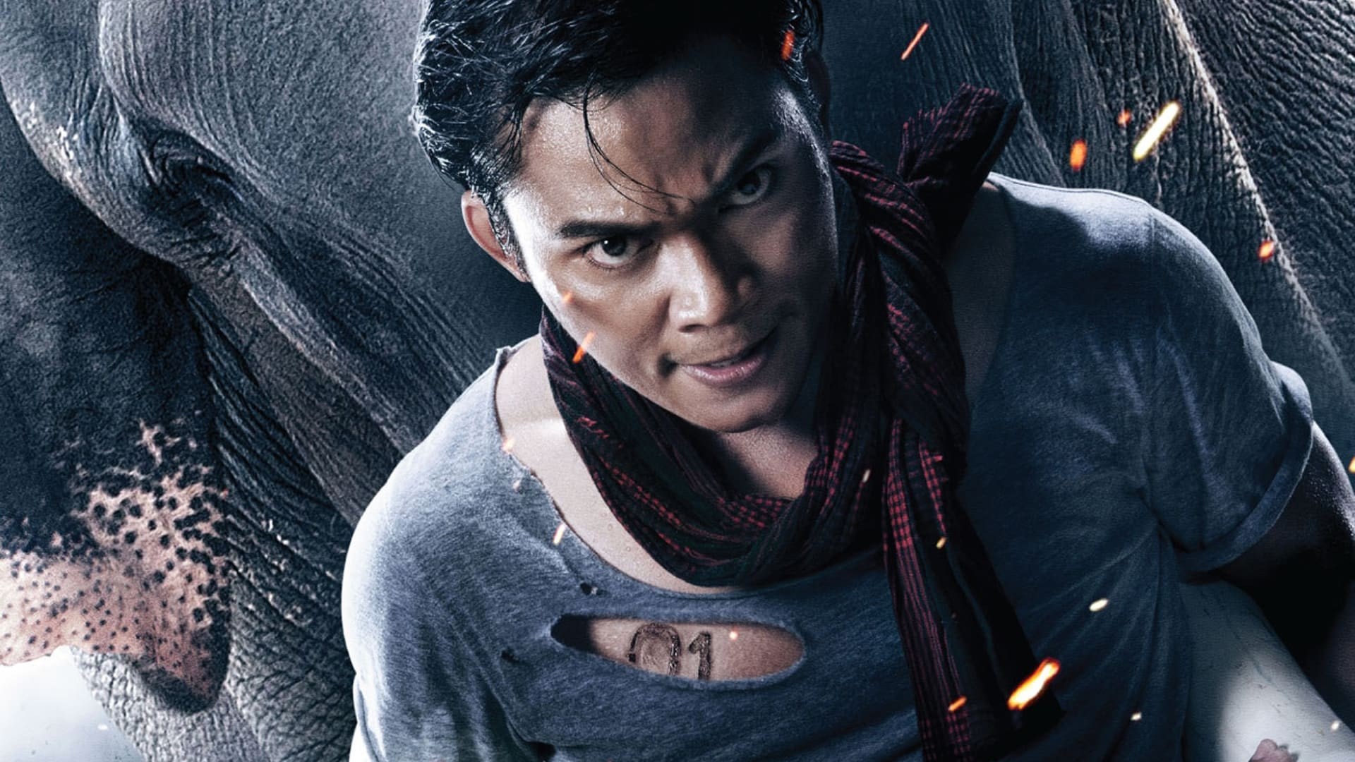 Foto de THAI DRAGON 2: EL PROTECTOR