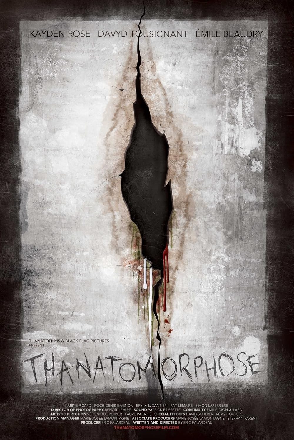 Poster de THANATOMORPHOSE