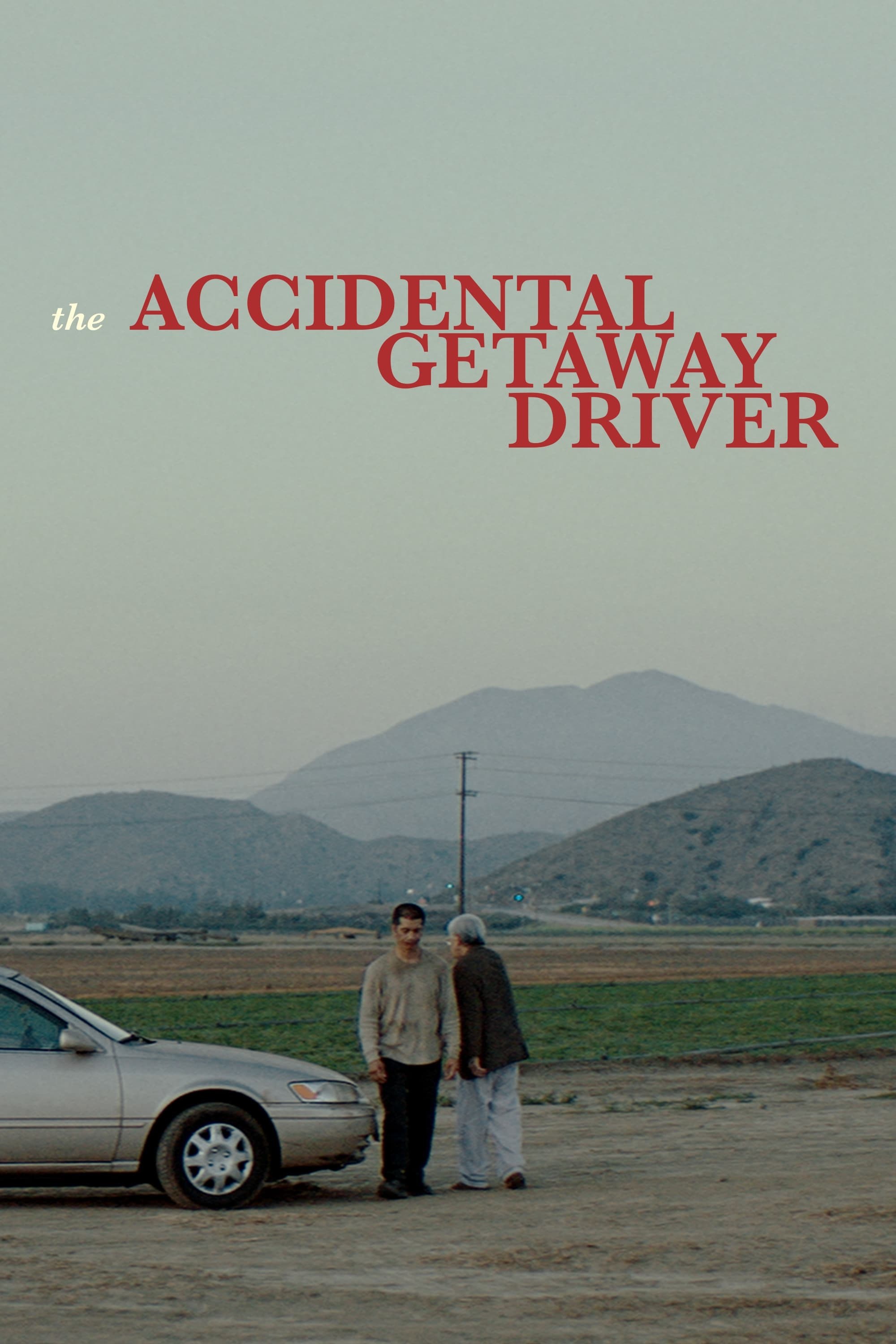 Poster de THE ACCIDENTAL GETAWAY DRIVER en inglés