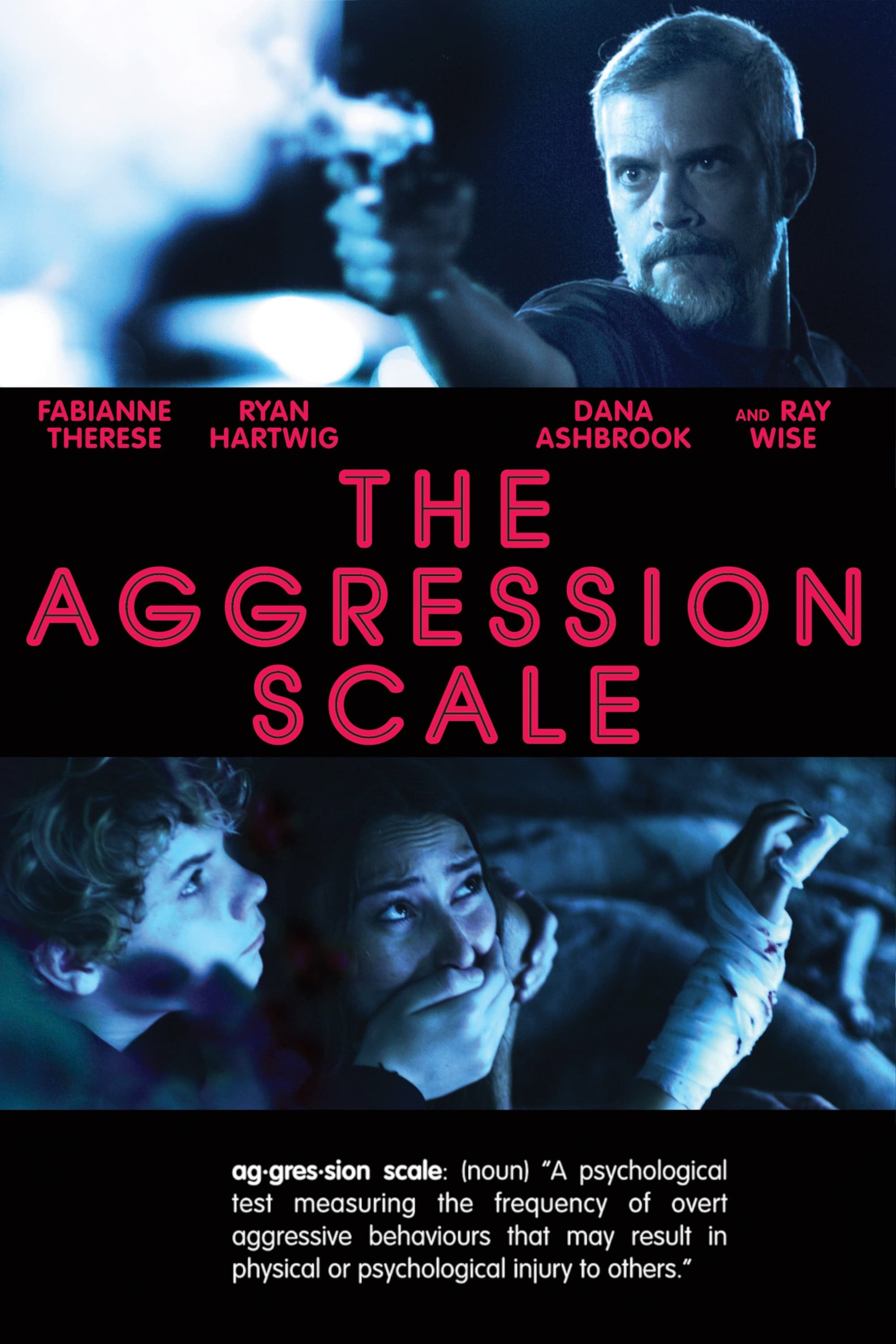 Poster de THE AGGRESSION SCALE