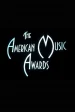 The 13th Annual American Music Awards