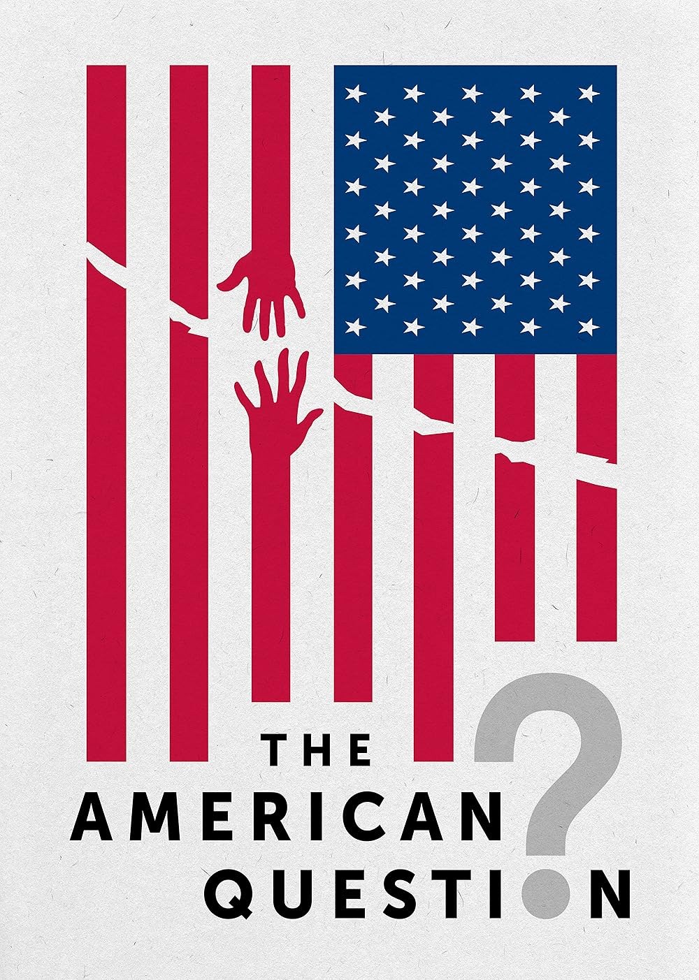 Poster de THE AMERICAN QUESTION