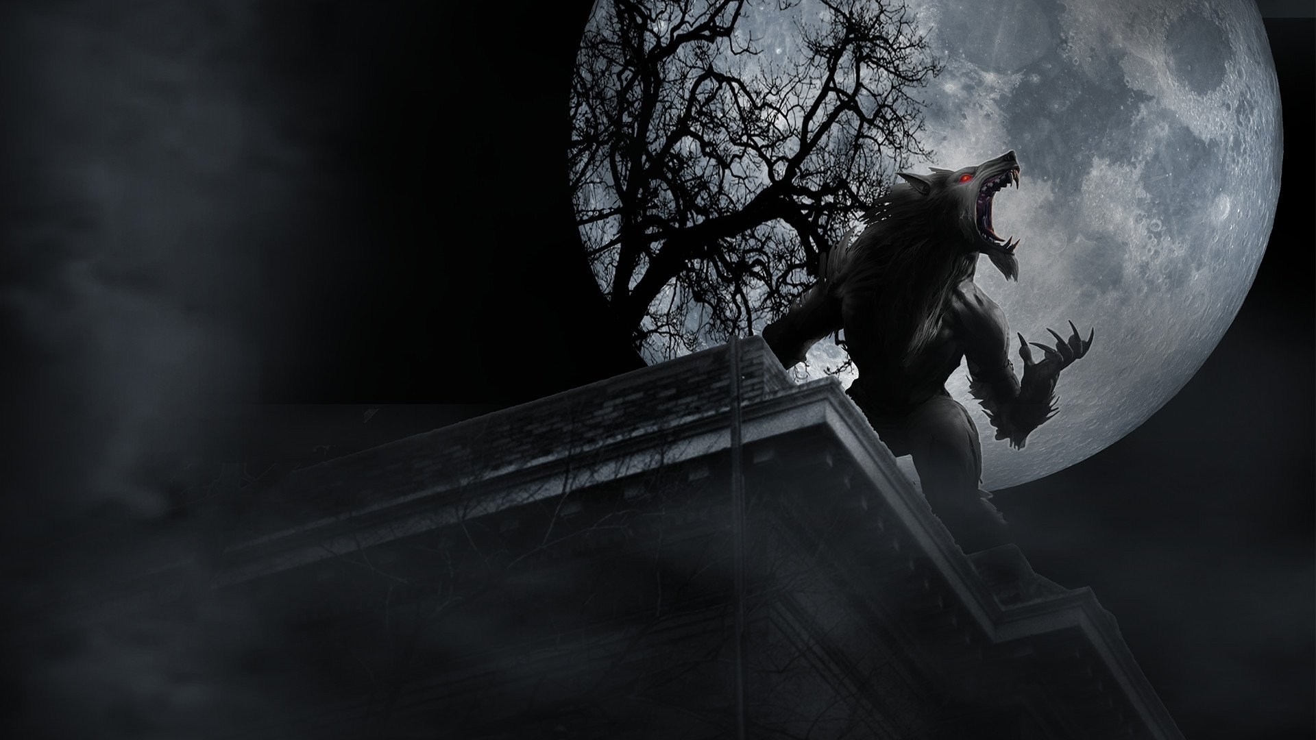 Foto de THE AMITYVILLE MOON
