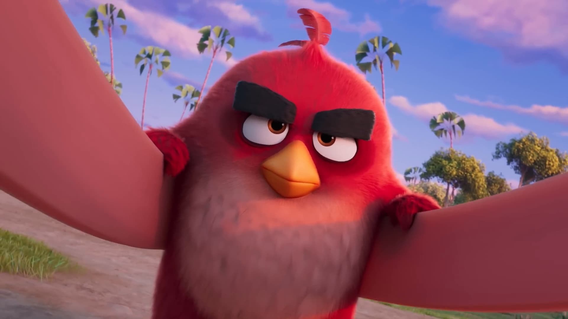 Foto de THE ANGRY BIRDS MOVIE 3
