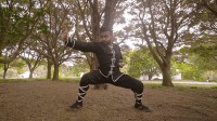 The Art of Kung Fu