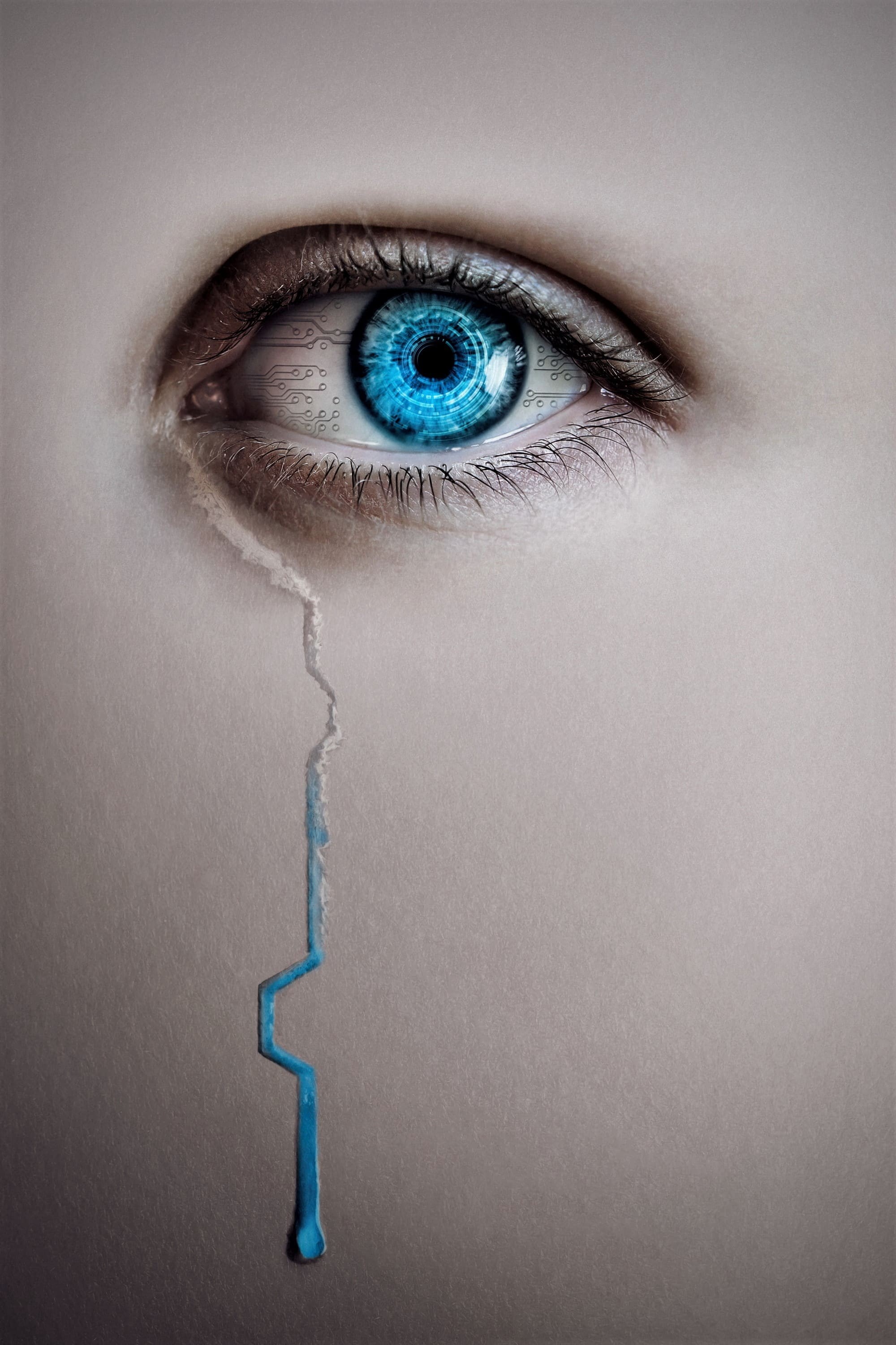 Poster de THE ARTIFICE GIRL