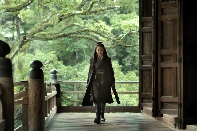 Foto de THE ASSASSIN