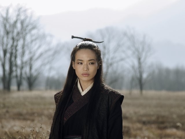 Foto de THE ASSASSIN